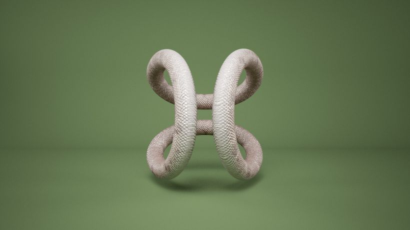 Proximus, exploraciones 3D. 12