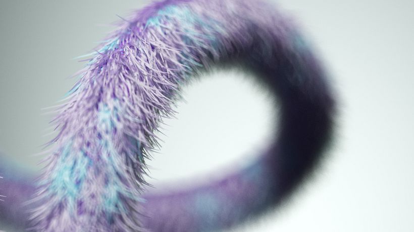 Proximus, exploraciones 3D. 13