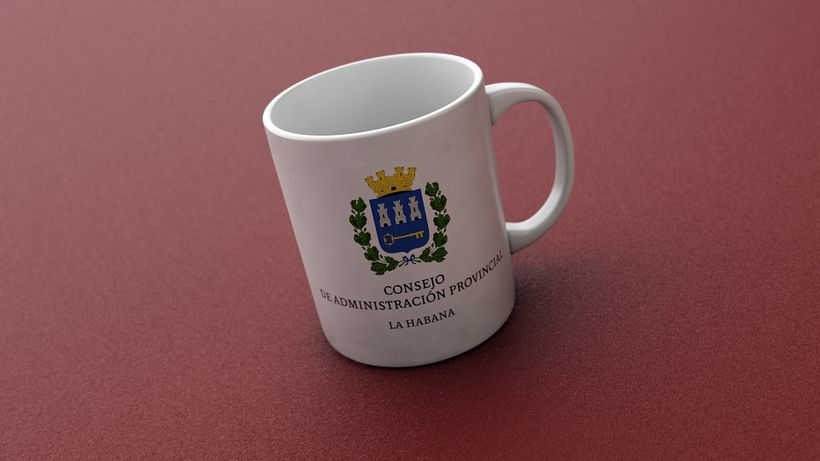 Programa de Identidad del Consejo de Administración Provincial (CAP)  6