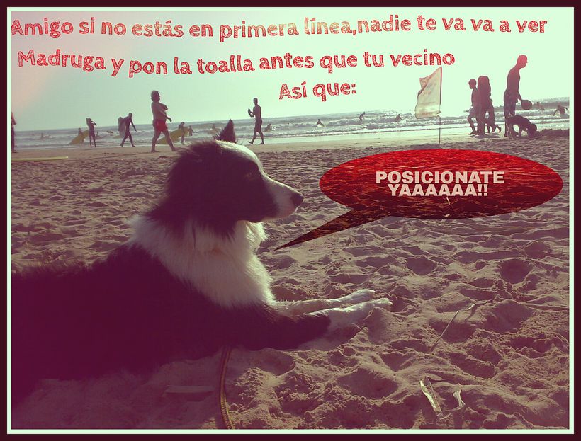 Proyecto de posicionamiento web 1