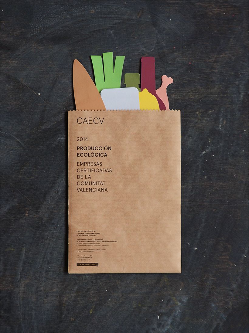 CAECV 1