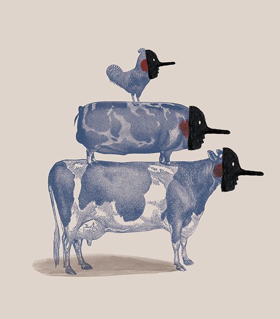 Diez mentiras sobre la comida. 1