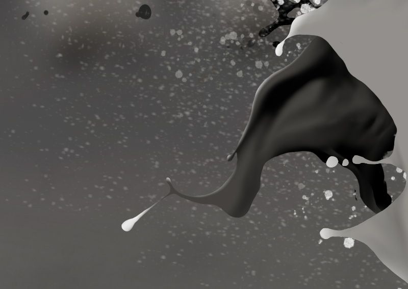 Spheniscus magellanicus 7