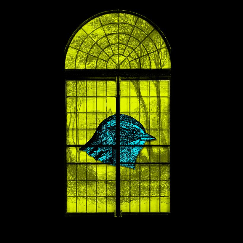 #365collages. October 14 19