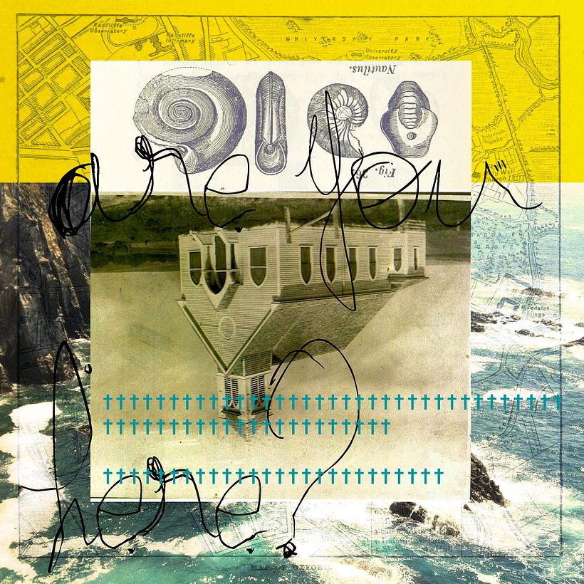 #365collages. October 14 29