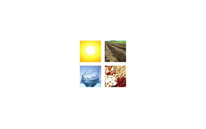 cocinaestacional.com 3