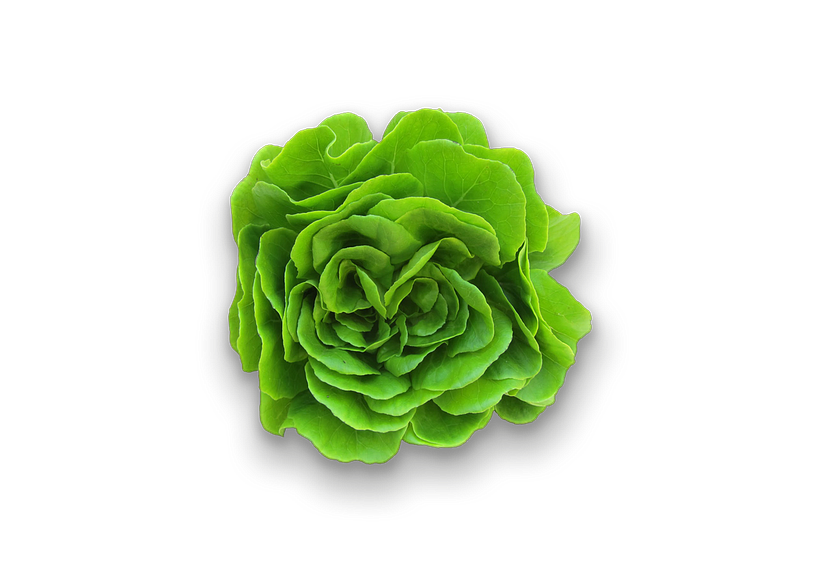 cocinaestacional.com 8