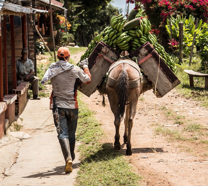 Suroeste Antioquia Colombia 2