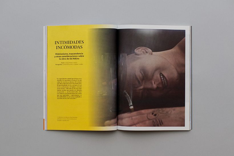 Revista Input 6