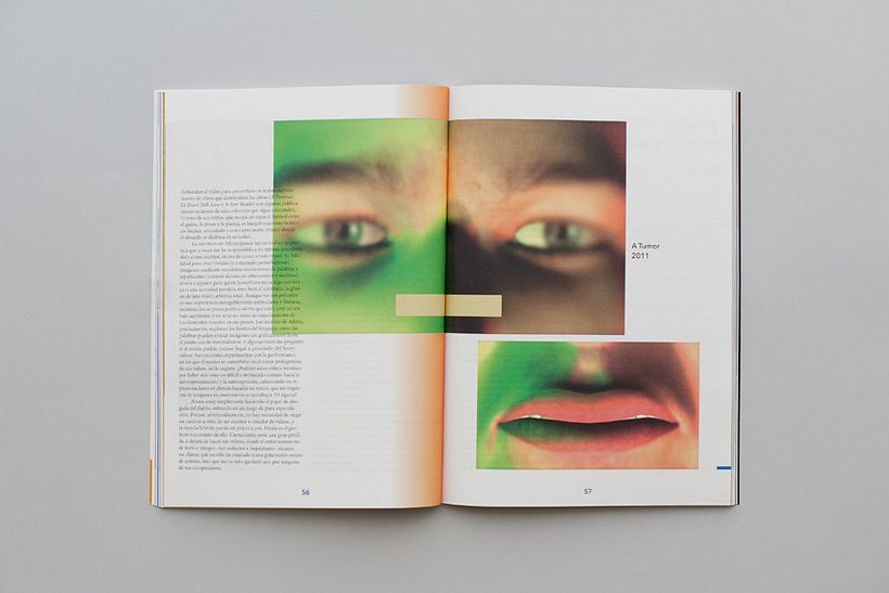 Revista Input 7