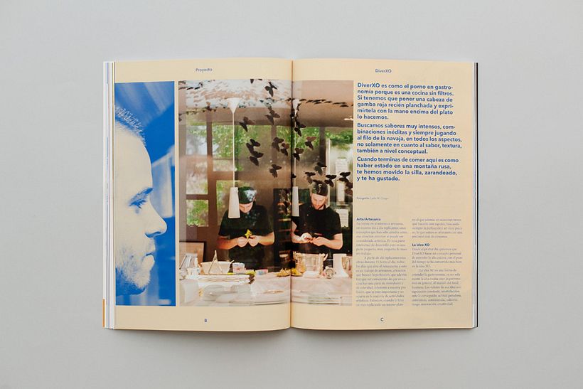 Revista Input 8
