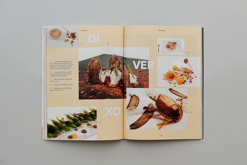 Revista Input 9