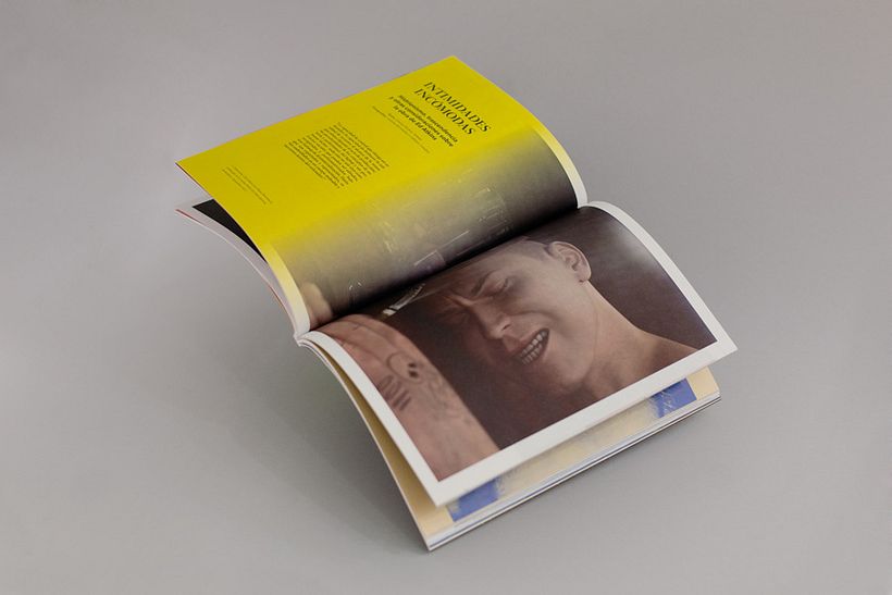 Revista Input 1