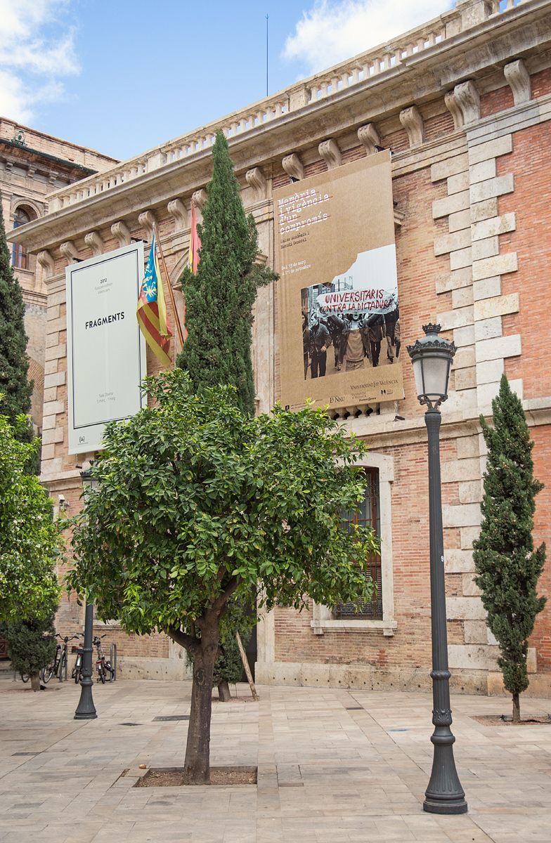 Universitarios contra la dictadura 1