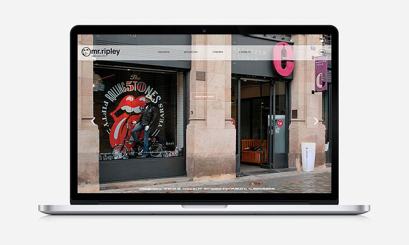 WordPress Developer MrRipley -1