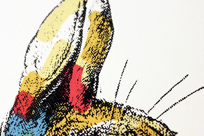 Mr. Rabbit 2