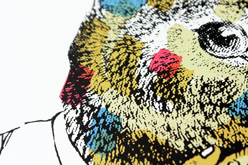 Mr. Rabbit 3
