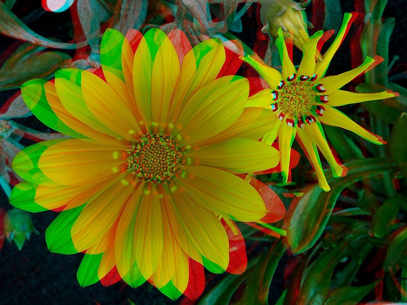 Fotografía 3D 4