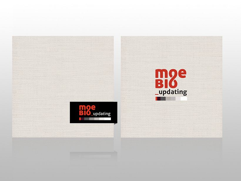 Branding / Imagen Corporativa 2