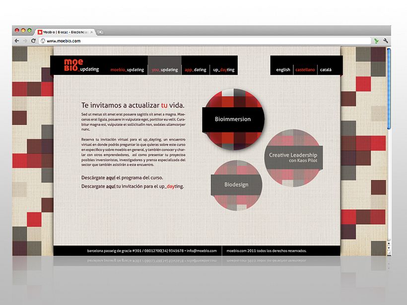 Branding / Imagen Corporativa 5
