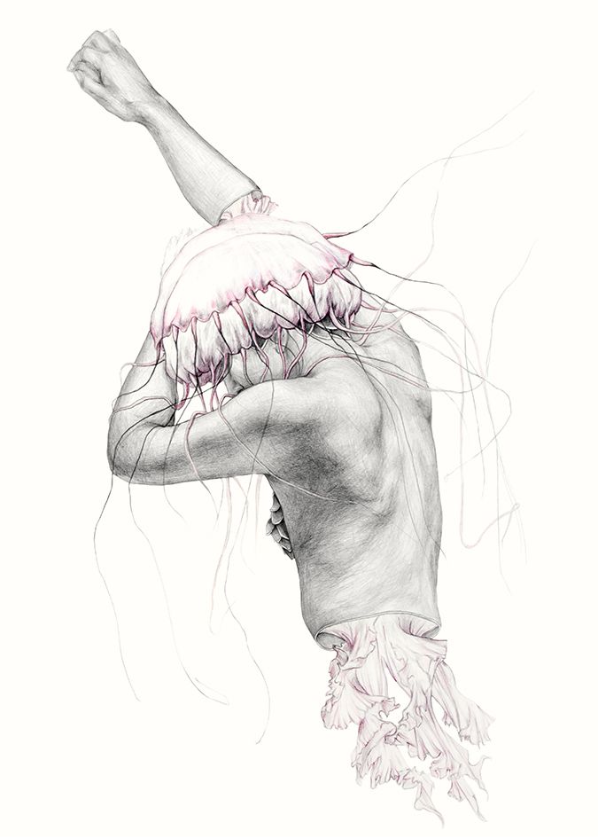 Metamorfish 4