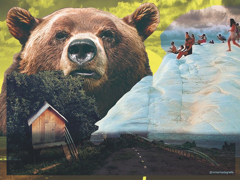 Collage digital  3
