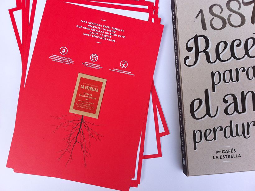 1887 recetas para que el amor perdure 3