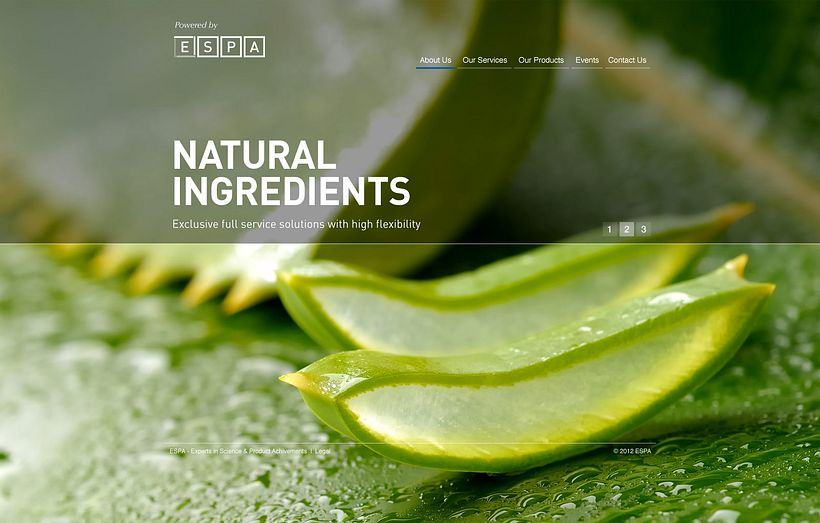 Dermo Cosmetic - Branding & Web Design 13