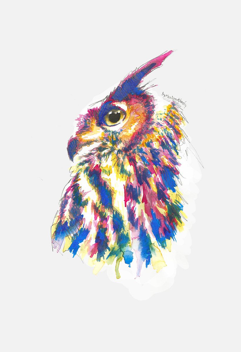 Feathers 0