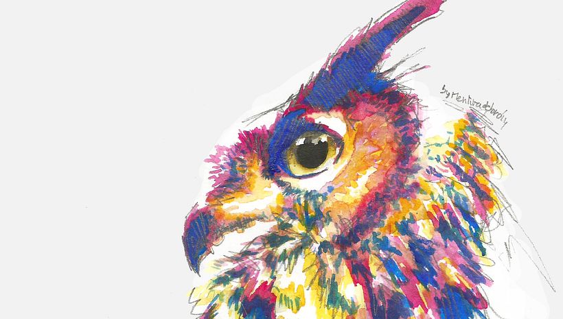 Feathers 1
