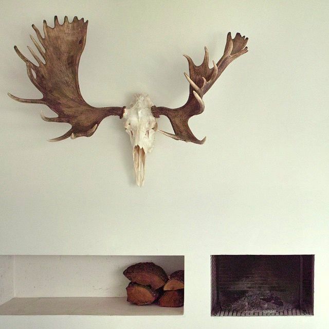 iPhonography – 2014 1