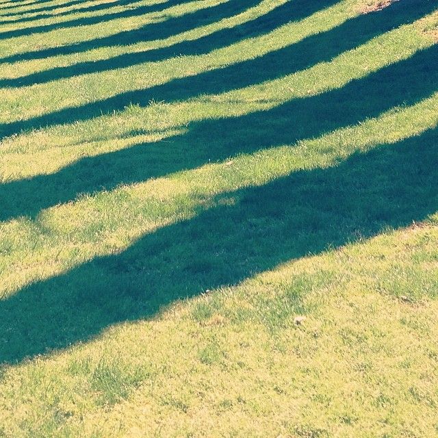 iPhonography – 2014 22