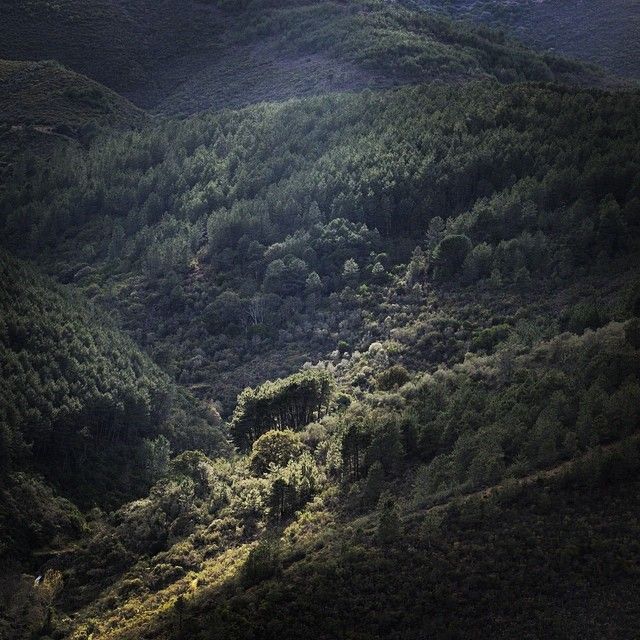 iPhonography – 2014 25