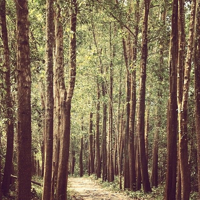 iPhonography – 2014 26