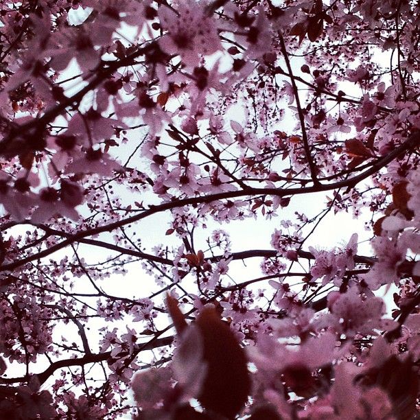 iPhonography – 2013 24