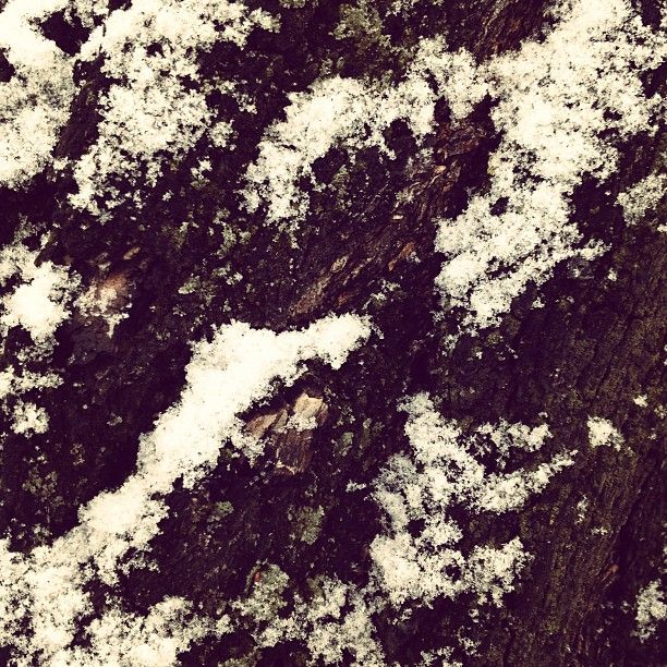 iPhonography – 2013 26