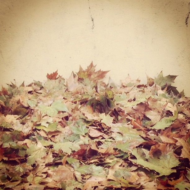 iPhonography – 2013 28