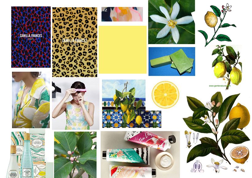 Proyecto de pattern "Lemon Essence" 2