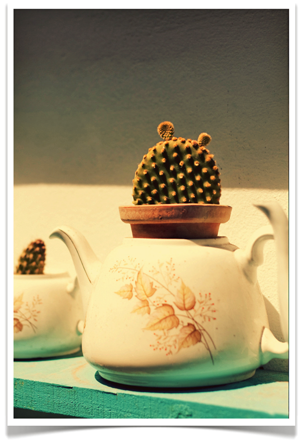 Clementine · Coffe & Cupcakes 22