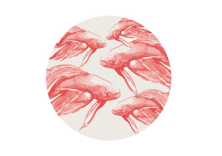 Pink and fish 3