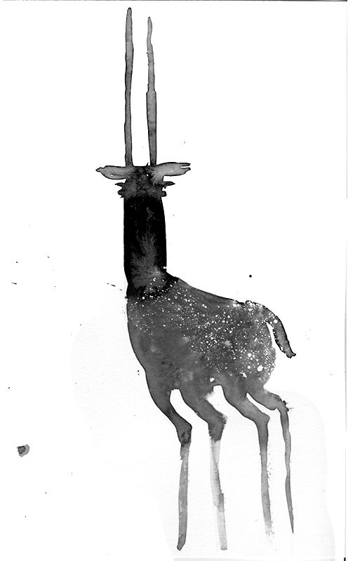 El dibujo del día – III 1