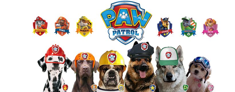 paw patrol -1