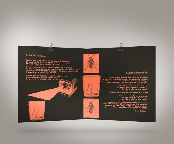 diariodeverano // branding + cd packaging  5
