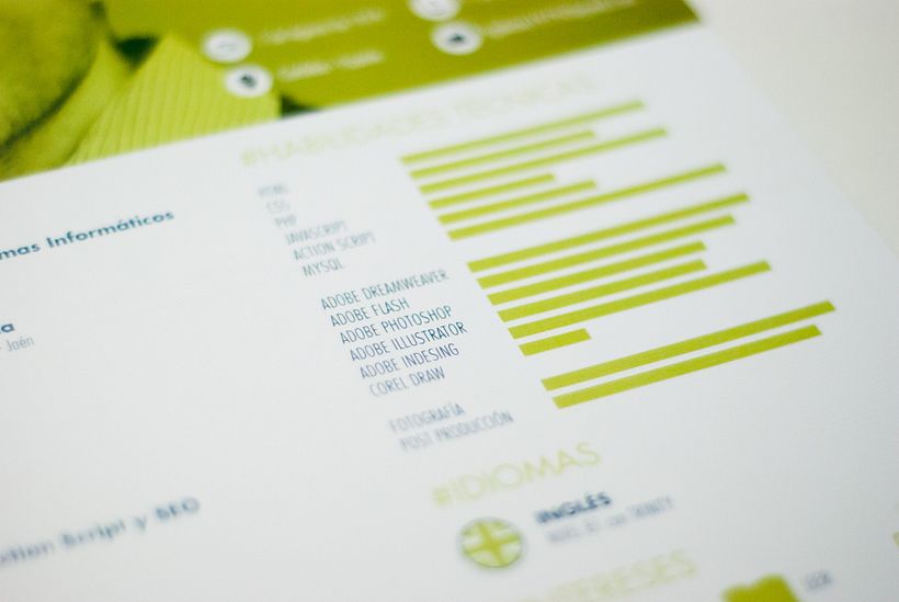 Curriculum Vitae 3