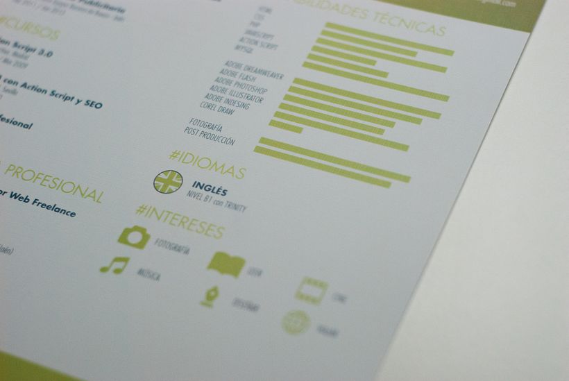 Curriculum Vitae 6