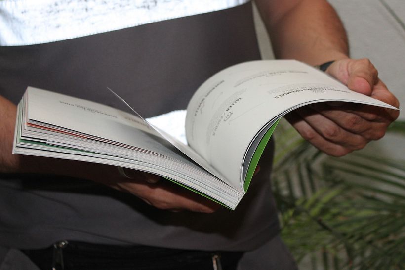 CONILLETS D'ÍNDIES 6