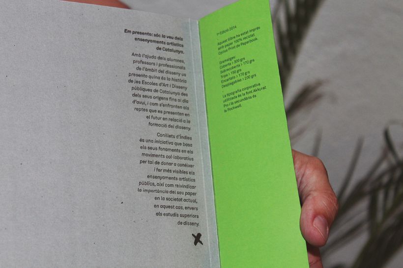 CONILLETS D'ÍNDIES 7