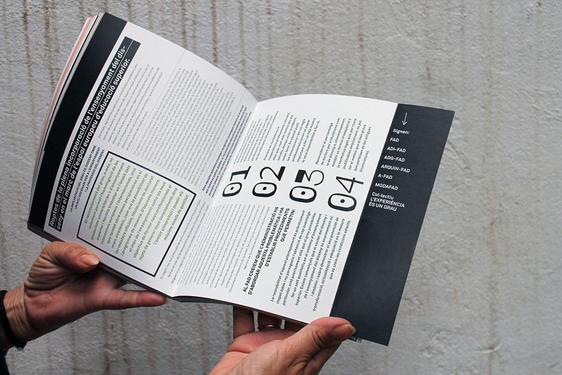 CONILLETS D'ÍNDIES 14