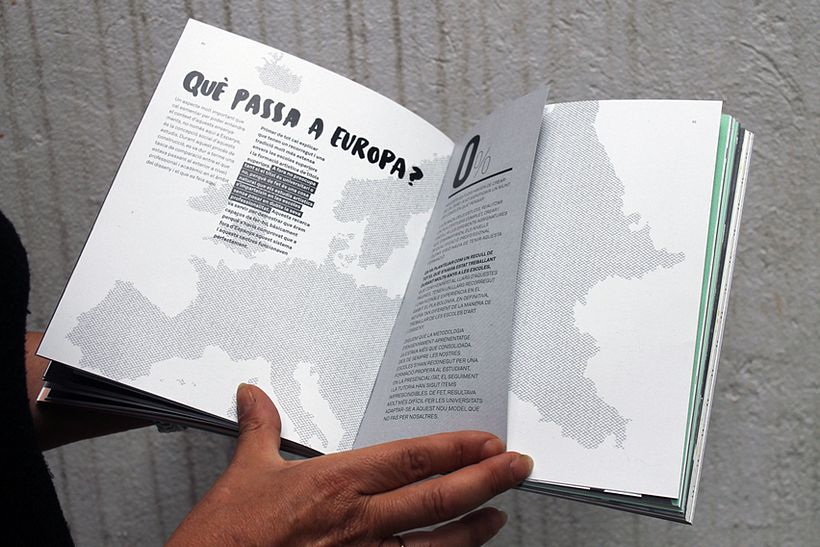 CONILLETS D'ÍNDIES 15