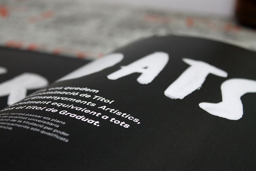 CONILLETS D'ÍNDIES 16